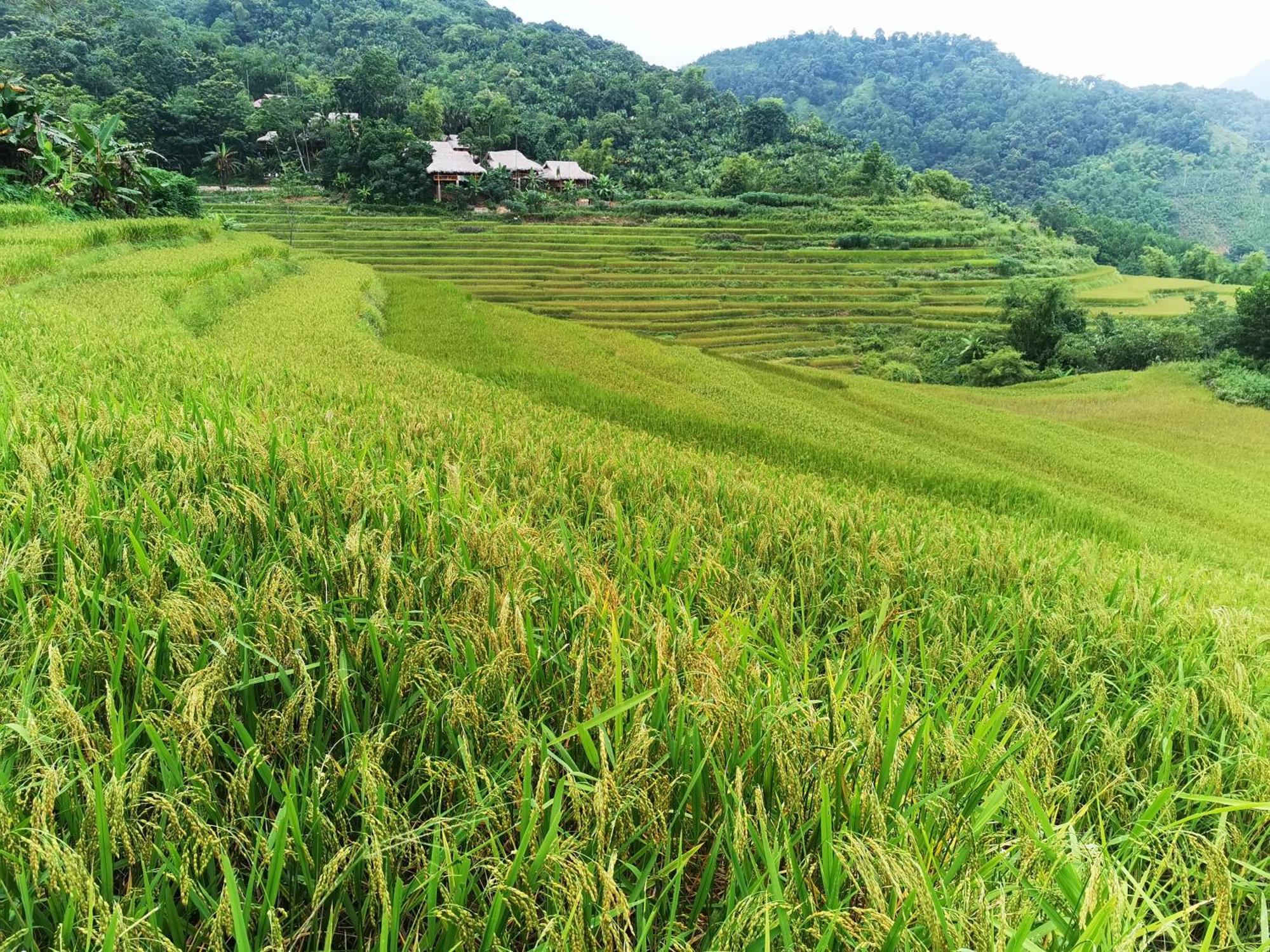 Pu Luong Natura Ruang foto